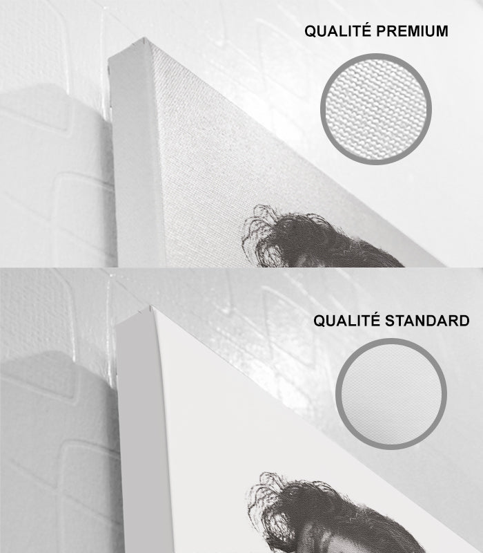 Cuadro Narcos Pablo en salón moderno sobre pared blanca encima de sofá coñac, decoración de interiores Massinart