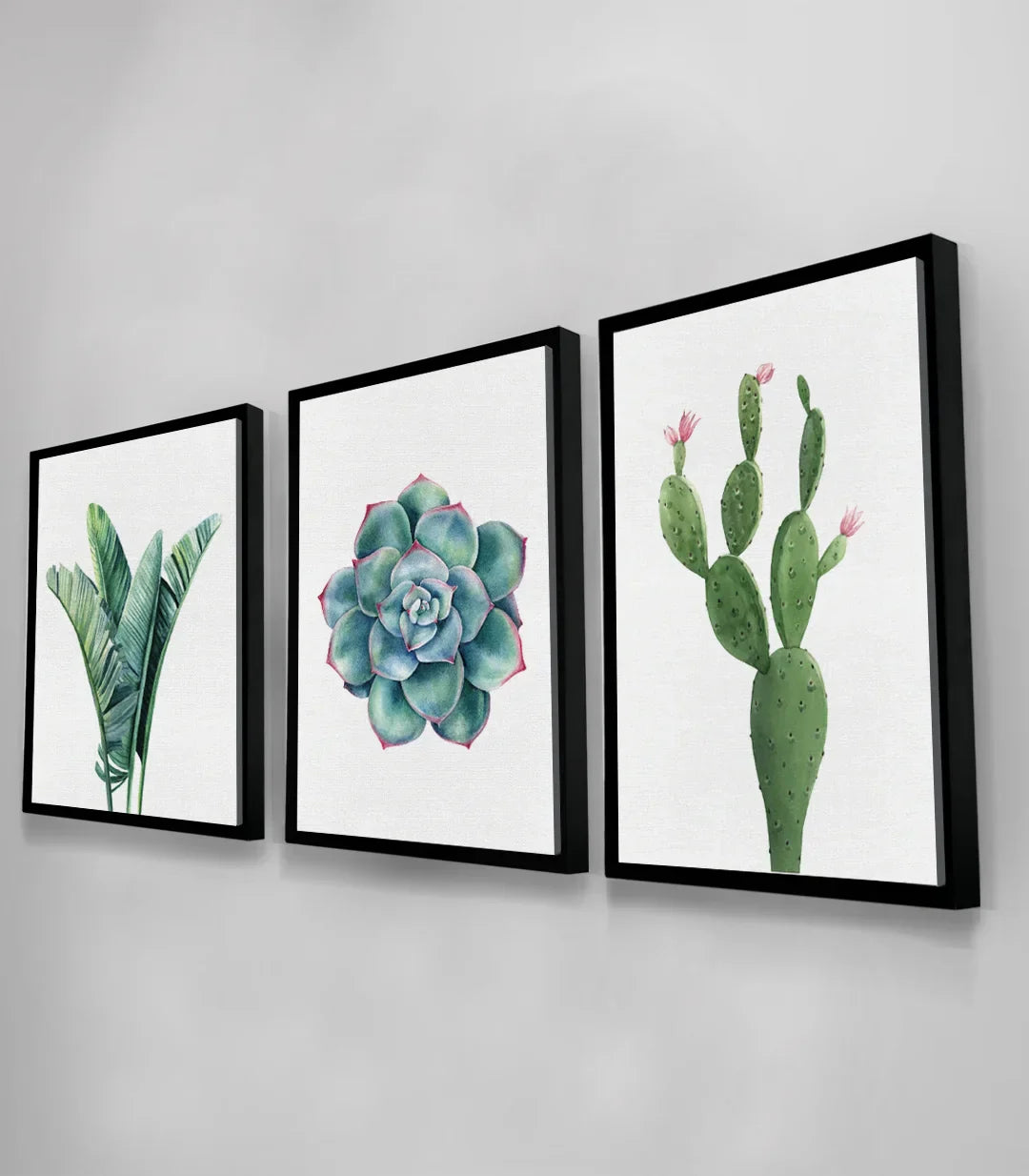Cuadro tríptico Cactus en despacho — plantas botánicas arte mural Massinart