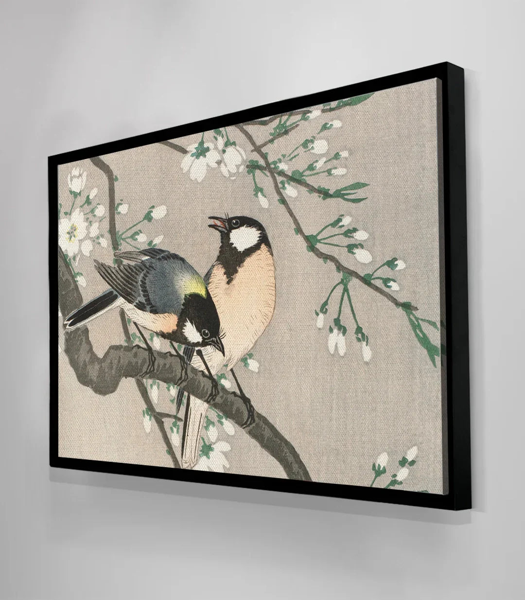 Cuadro Branch Mates salón moderno decoración pared — pájaros en rama florecida
