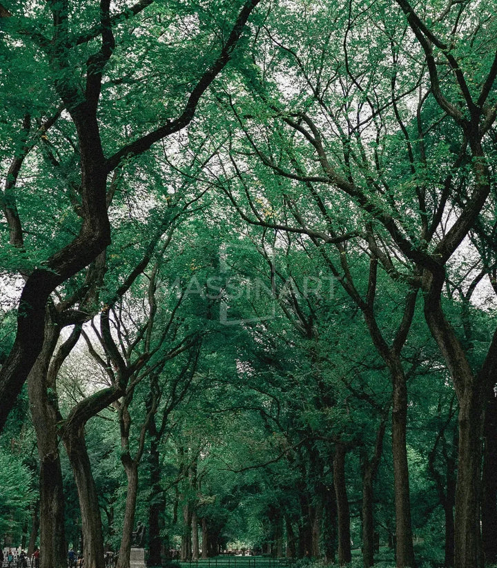 Cuadro decorativo Path of The Forest - ambientación en interior moderno Massinart