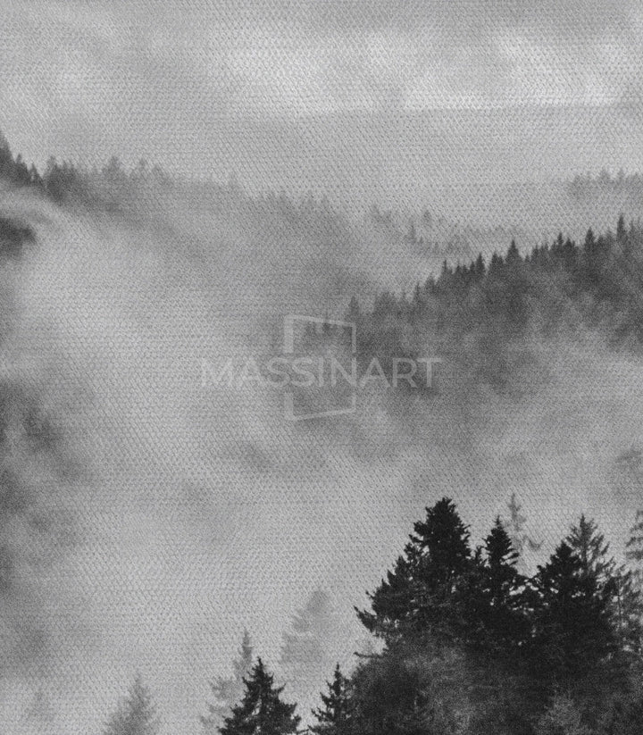 Cuadro Veiled Forest Massinart
