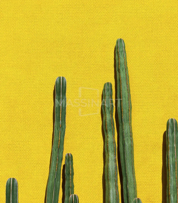 Decoración despacho minimalista con cuadro cactus naturaleza — Massinart
