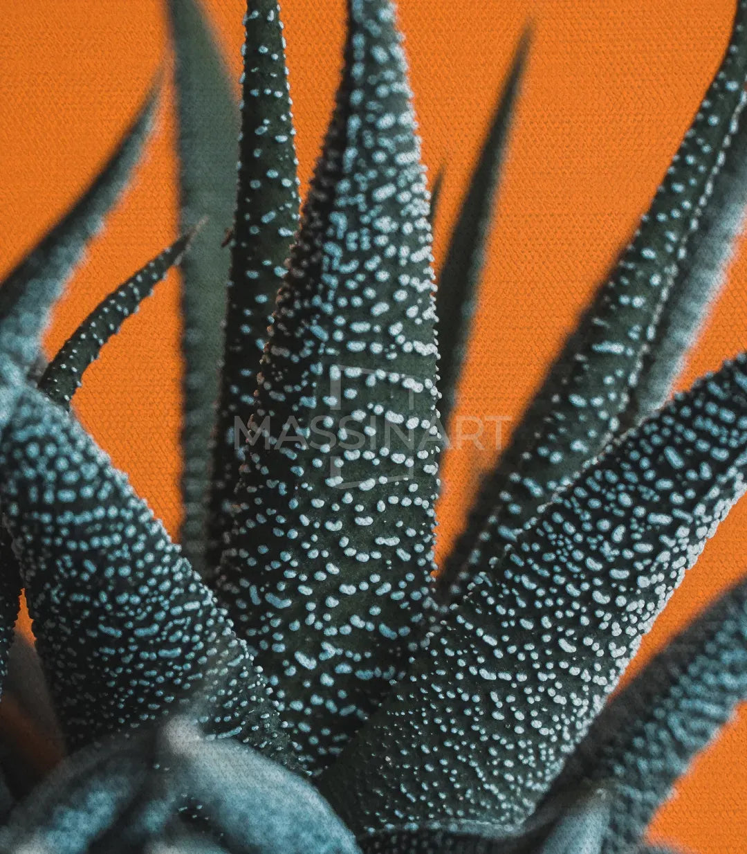 Cuadro de naturaleza botánica moderno Spiked Elegance — Massinart