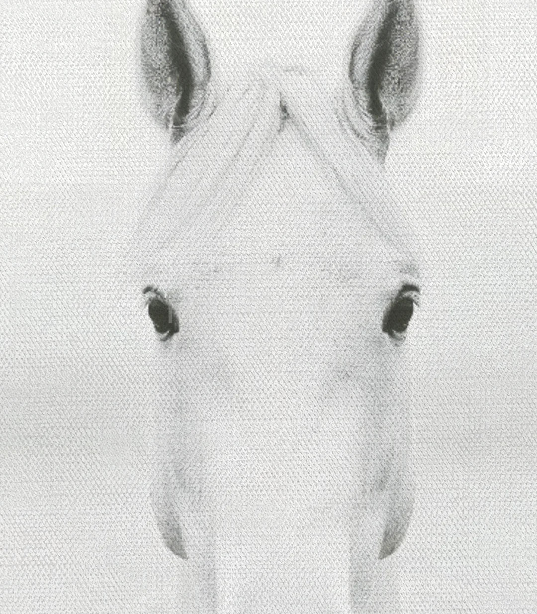 Cuadro Innocence caballo blanco en salón moderno — decoración de pared Massinart