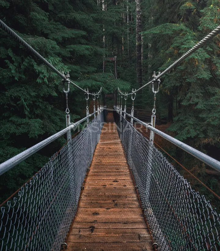 Cuadro Mystic Bridge en salón con decoración moderna — arte mural de naturaleza y bosque, Massinart