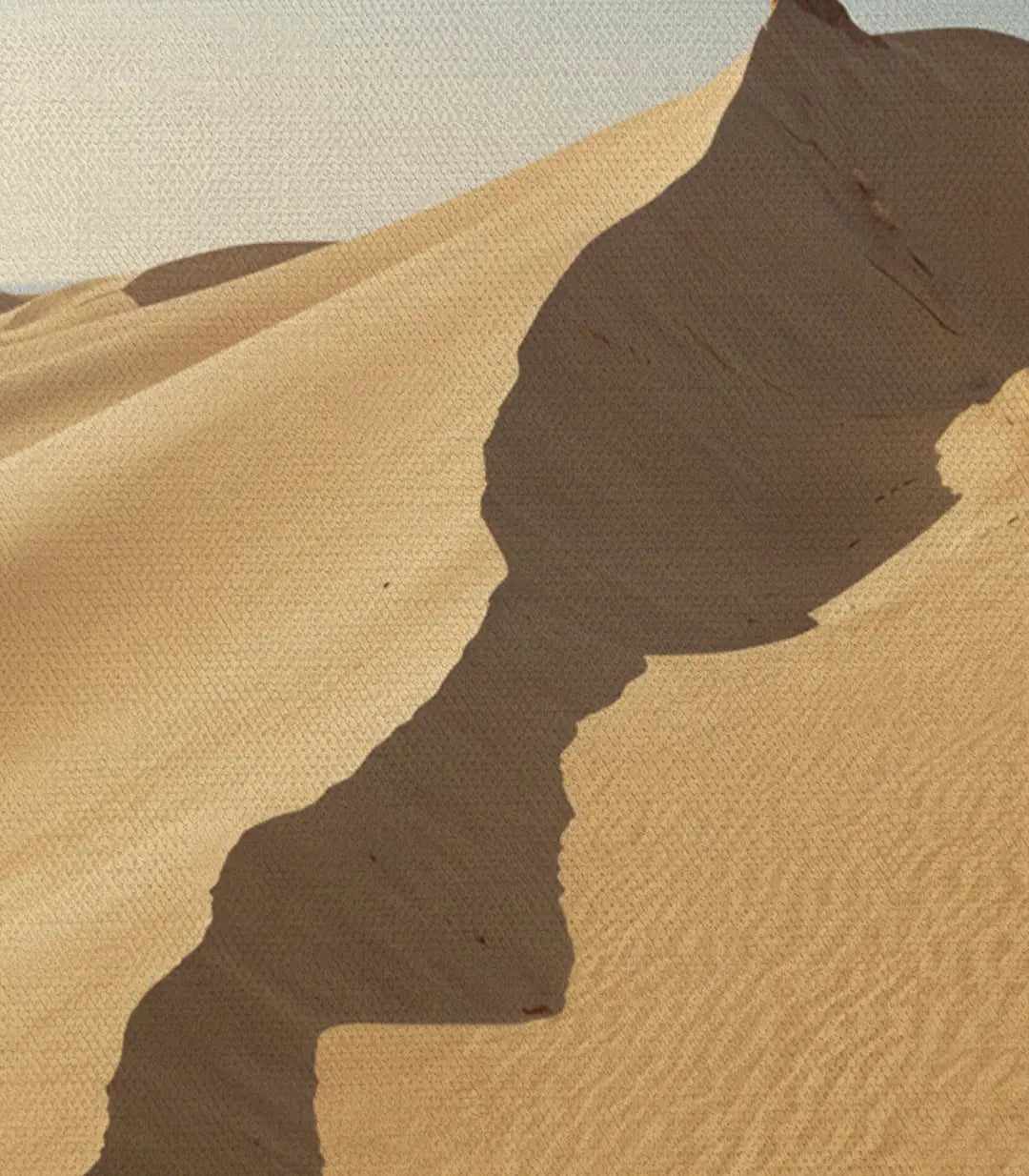 Cuadro Moroccan Sahara estilo depurado salón contemporáneo Massinart