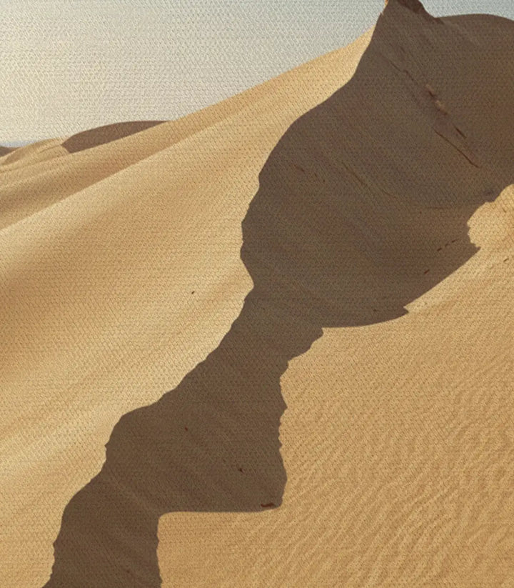 Cuadro Moroccan Sahara estilo depurado salón contemporáneo Massinart