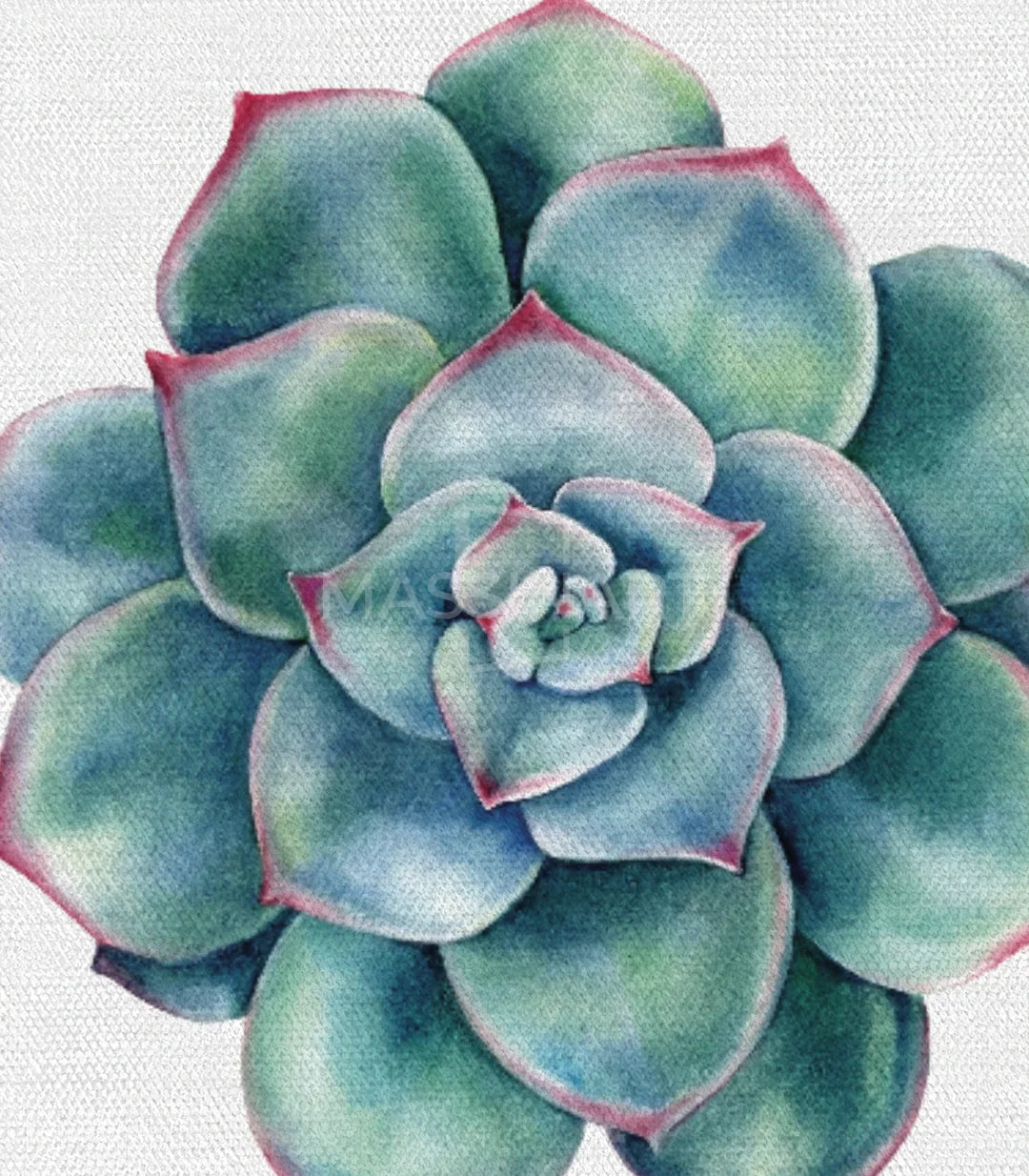 Cuadro tríptico Cactus en salón — cuadro naturaleza botánica Massinart