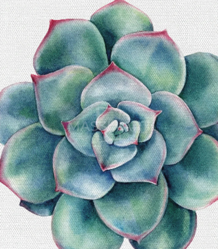 Cuadro tríptico Cactus en salón — cuadro naturaleza botánica Massinart