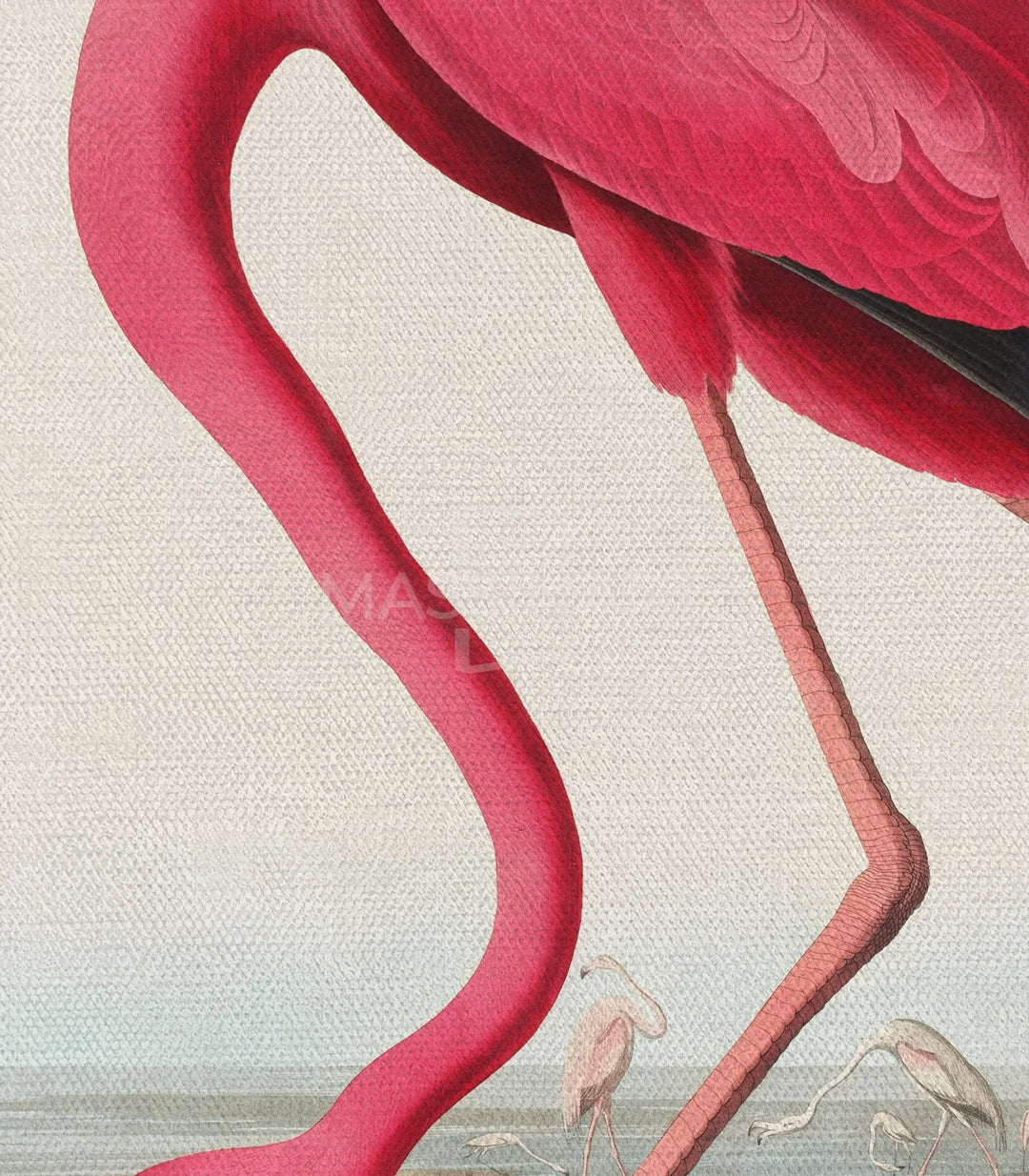 Cuadro The Flamingo's Stance en salón elegante, decoración mural Massinart