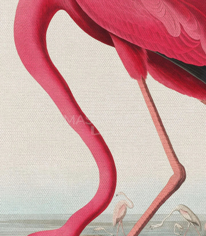 Cuadro The Flamingo's Stance en salón elegante, decoración mural Massinart