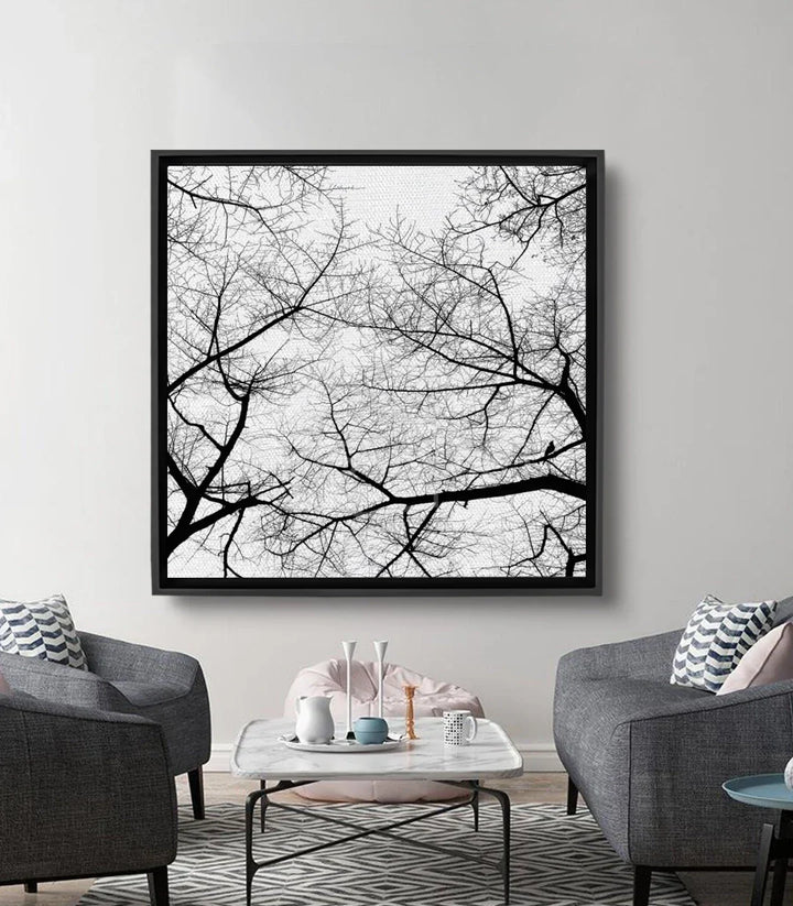 Cuadro Branches Fade Massinart — ramas desnudas entrelazadas en negro y blanco estilo minimalista