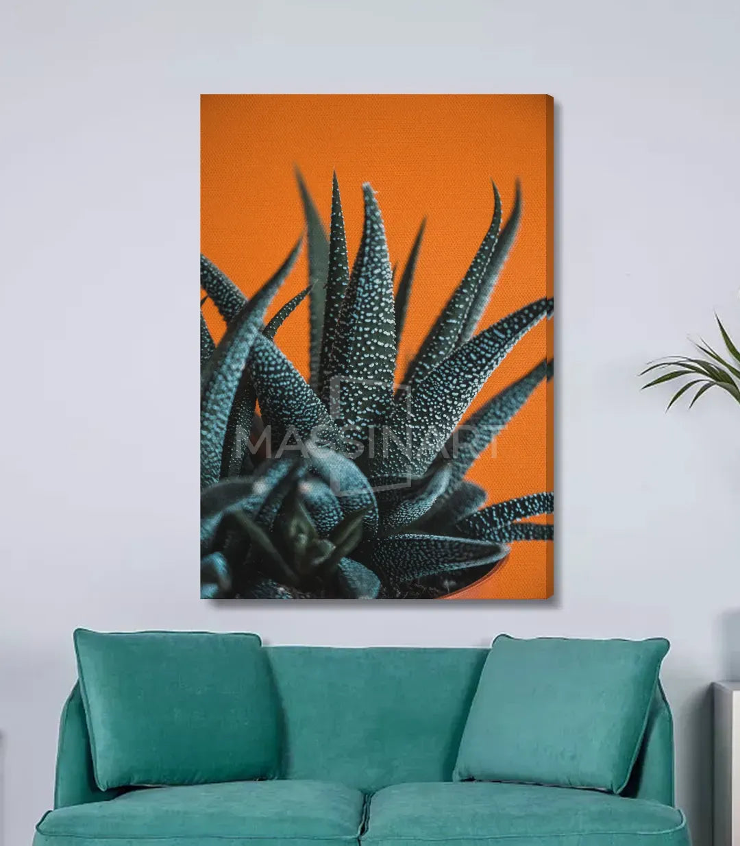 Detalle de fotografía artística de planta suculenta Spiked Elegance — Massinart