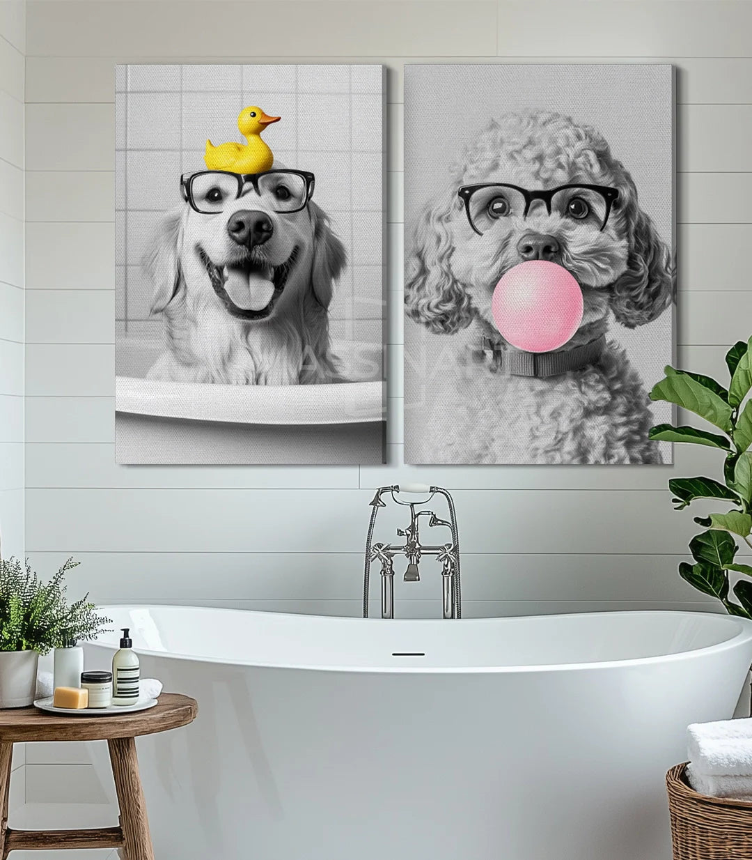 Cuadros animaleros con humor enmarcados, decoración interior salón — Massinart