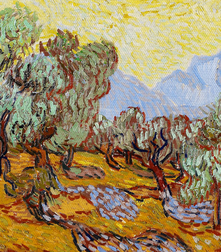 Cuadro Olive Trees By Vincent van Gogh — Massinart