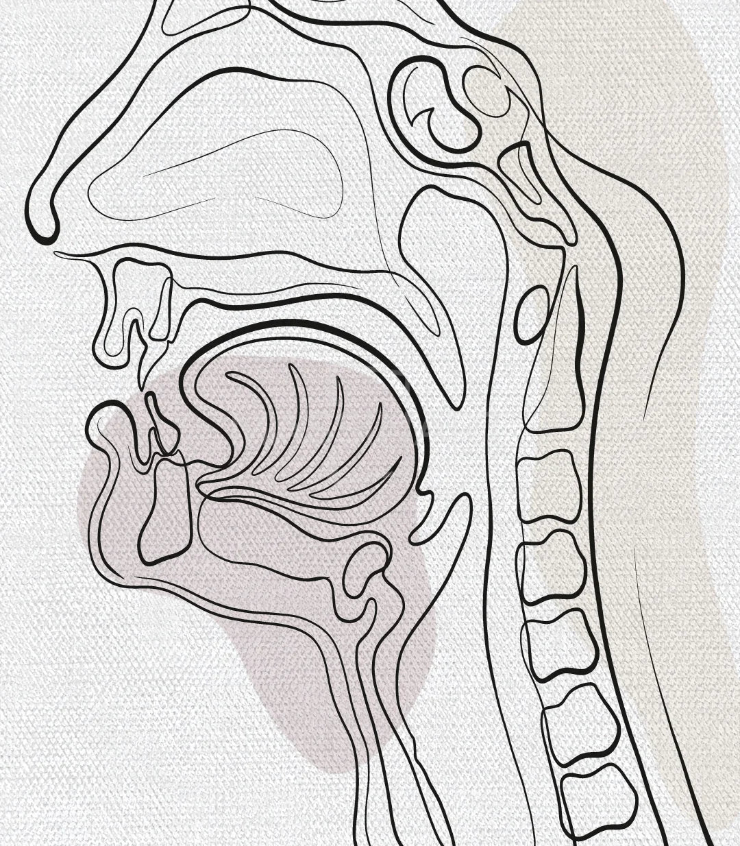 Lámina médica anatomía otorrinolaringología tríptico marcos negros — Massinart