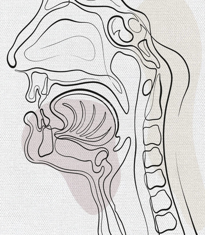 Lámina médica anatomía otorrinolaringología tríptico marcos negros — Massinart
