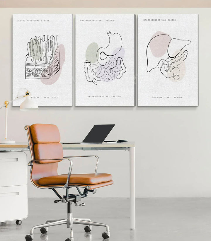 Cuadro Gastro Art tríptico, ilustración anatómica hígado y estómago Massinart