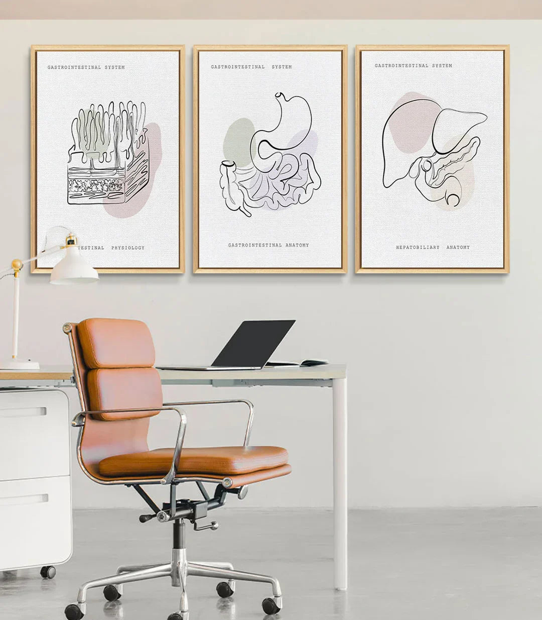Cuadro Gastro Art tríptico, sistema digestivo diseño minimalista Massinart