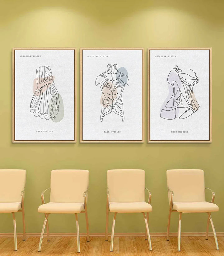 Cuadro músculos cuello anatomía line-art minimalista Massinart