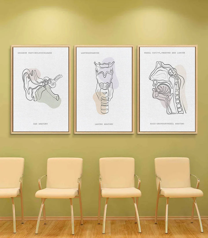 Decoración consulta médica: tres marcos negros con anatomía de otorrinolaringología — Massinart