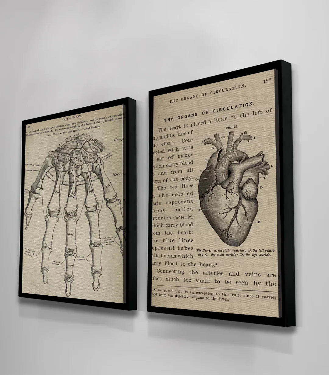 Cuadro Bone and Beat díptico — decoración científica minimalista Massinart
