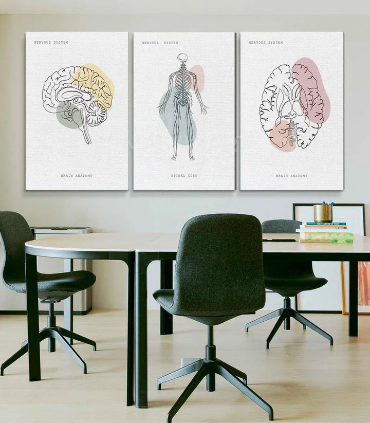 Cuadro Neural Network decoración interior Massinart — anatomía cerebral minimalista