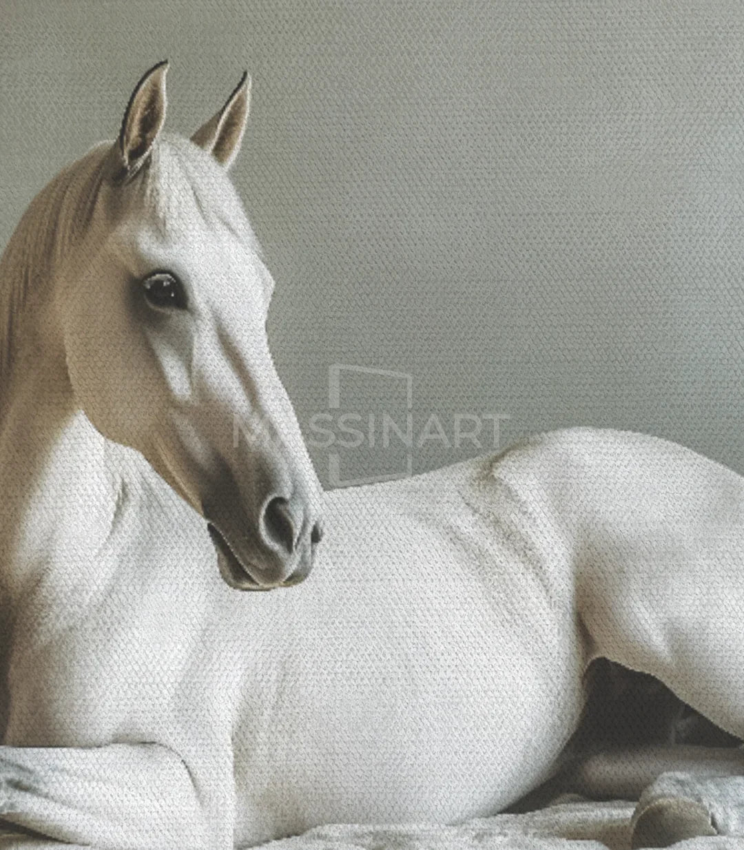 Detalle fotográfico cuadro caballo blanco arte ecuestre — Massinart