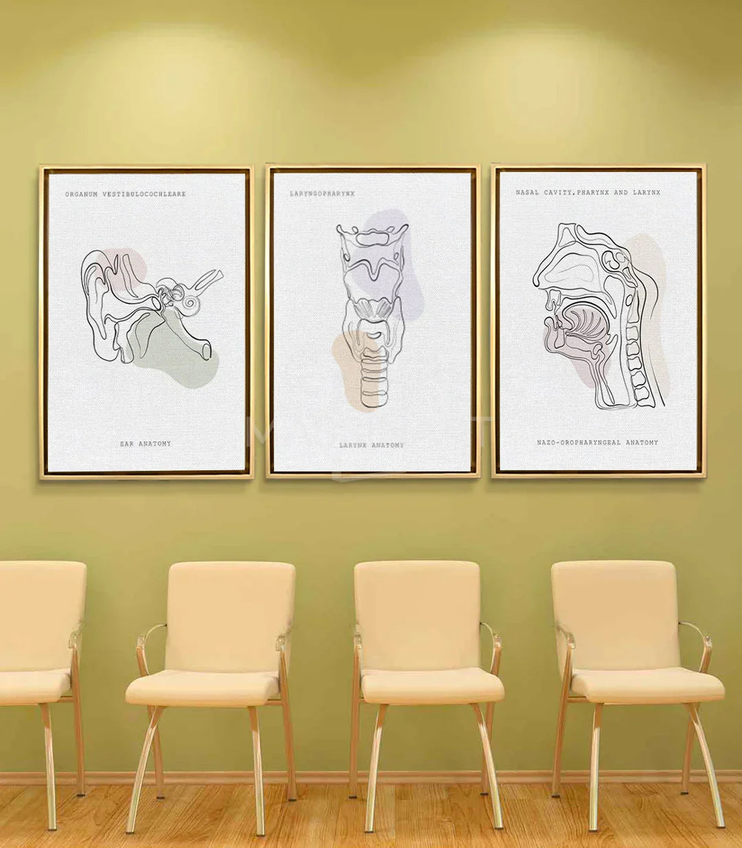 Ambientación salón moderno: tríptico Sonic Anatomy láminas anatómicas en pared amarilla — Massinart