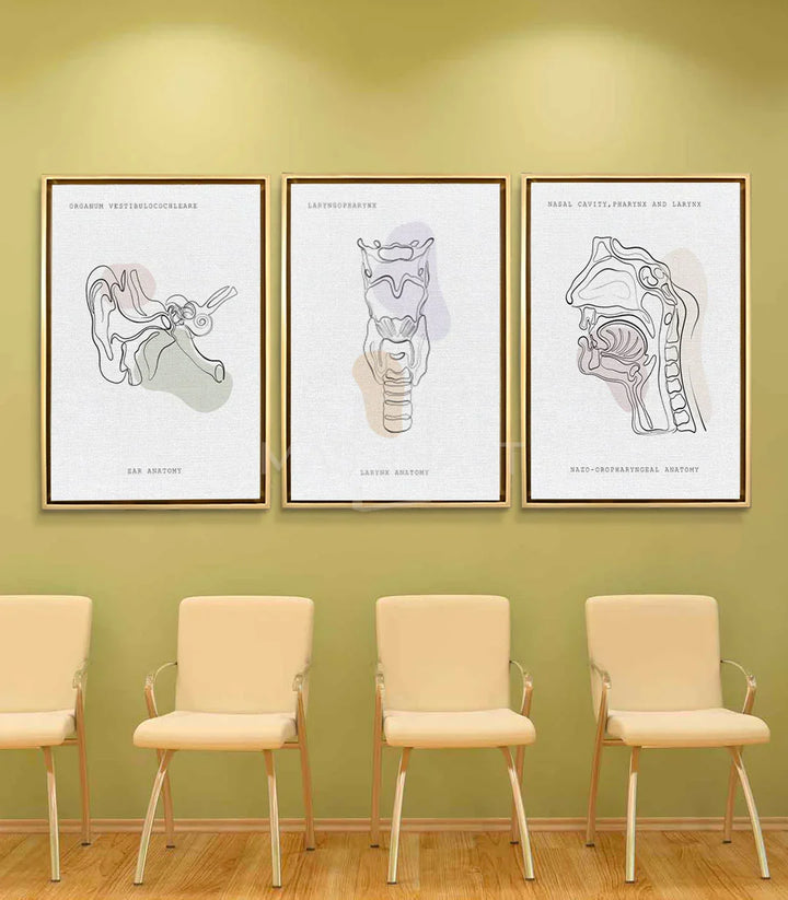 Ambientación salón moderno: tríptico Sonic Anatomy láminas anatómicas en pared amarilla — Massinart