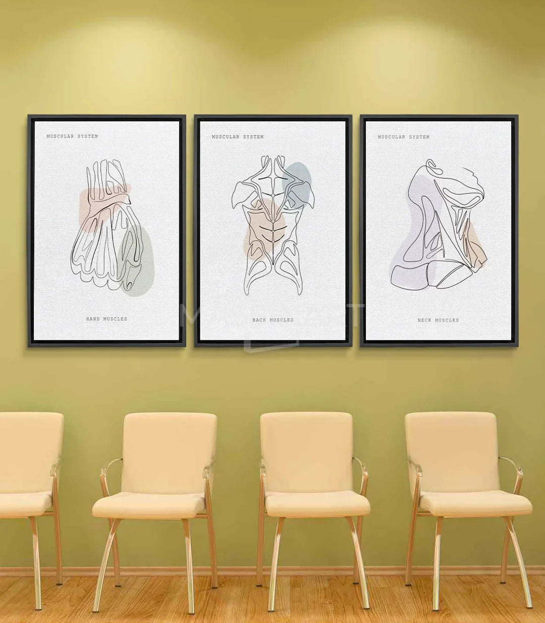 Cuadro anatomía muscular mano line-art minimalista blanco y negro Massinart