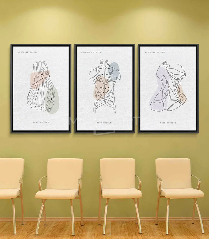 Cuadro anatomía muscular mano line-art minimalista blanco y negro Massinart