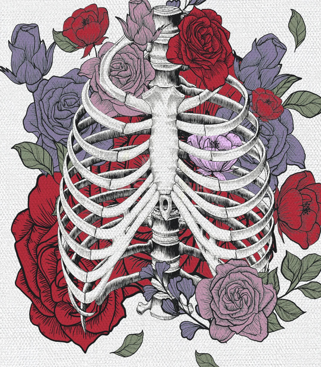 Cuadro anatomía floral estilo gótico elegante detalle pétalos Massinart