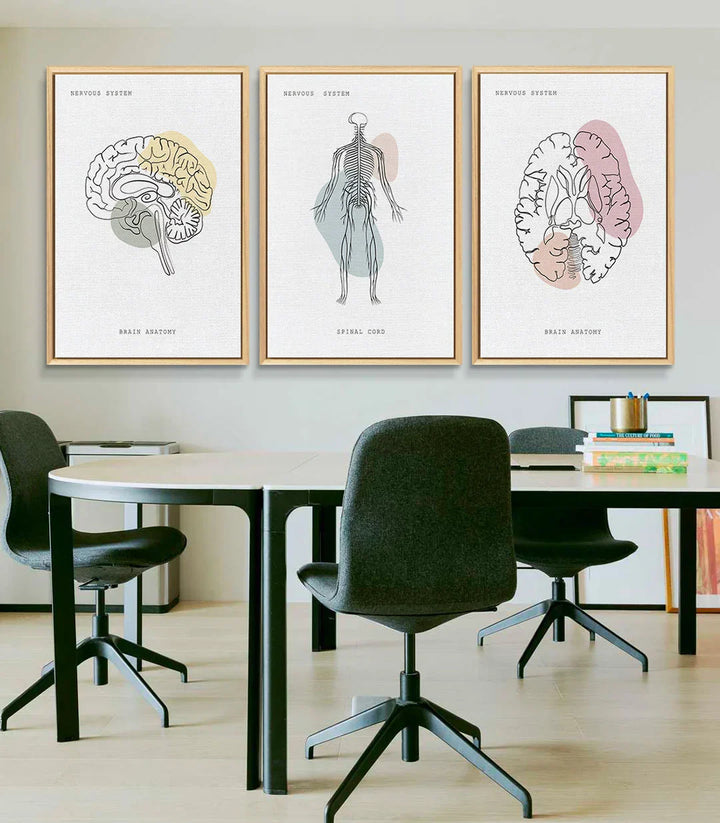 Cuadro Neural Network en consulta médica Massinart — ilustración médula espinal minimalista