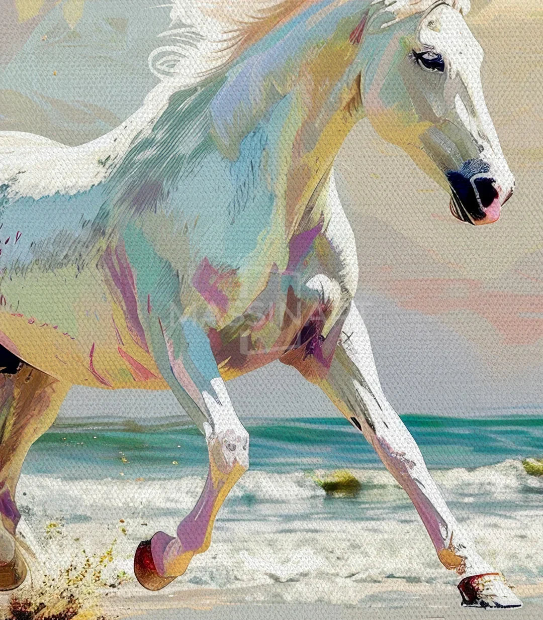 Cuadro caballo blanco Shoreline Sprint en pasillo — decoración pared — Massinart