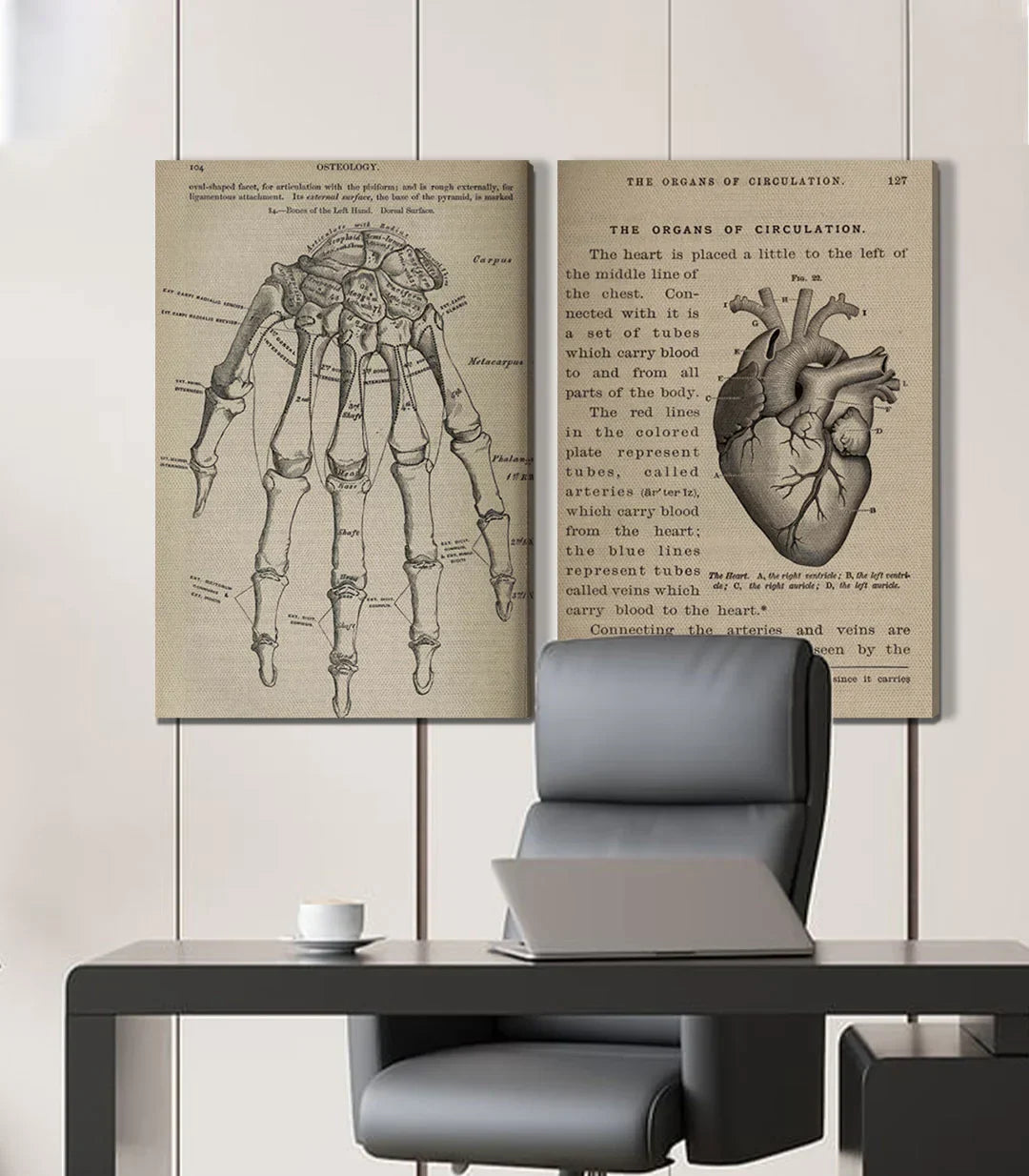 Decoración interior despacho — Cuadro Bone and Beat díptico científico Massinart