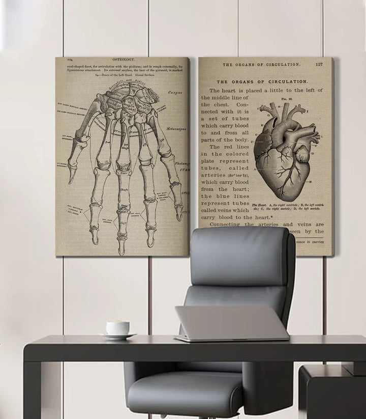 Decoración interior despacho — Cuadro Bone and Beat díptico científico Massinart