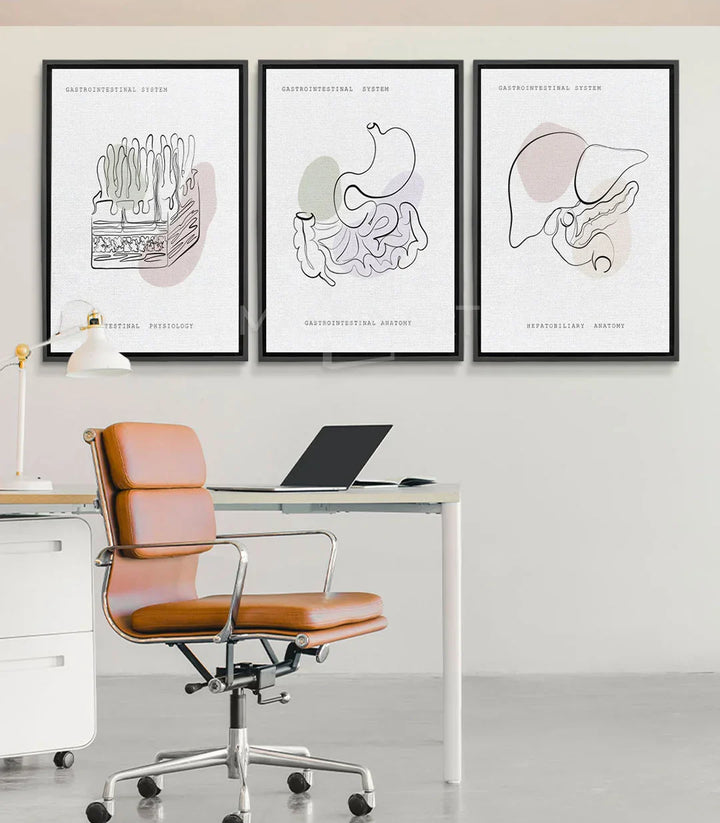 Cuadro Gastro Art tríptico anatómico, ilustración intestinos línea negra Massinart