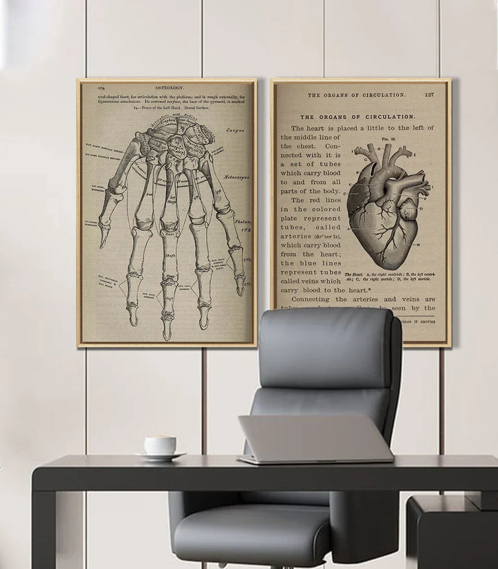 Ambientación despacho — Cuadro Bone and Beat díptico anatomía Massinart