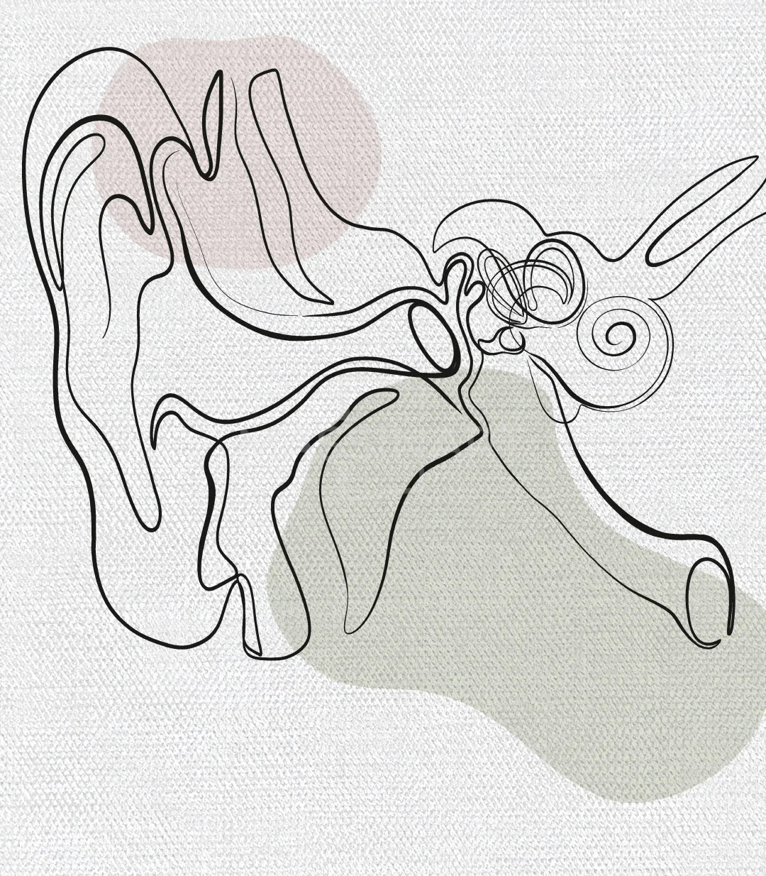 Tríptico anatomía moderno minimalista ilustración médica educativa — Massinart