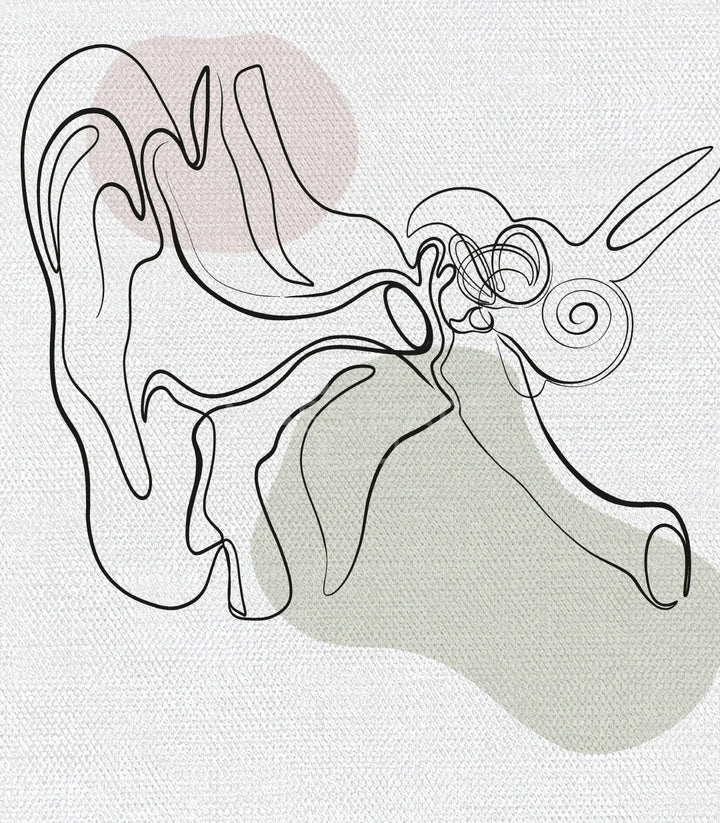 Tríptico anatomía moderno minimalista ilustración médica educativa — Massinart