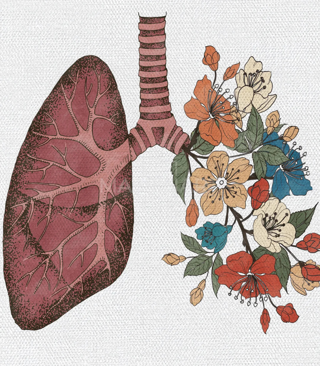 Detalle pulmón floral — Ilustración médica botánica, lienzo canvas Massinart