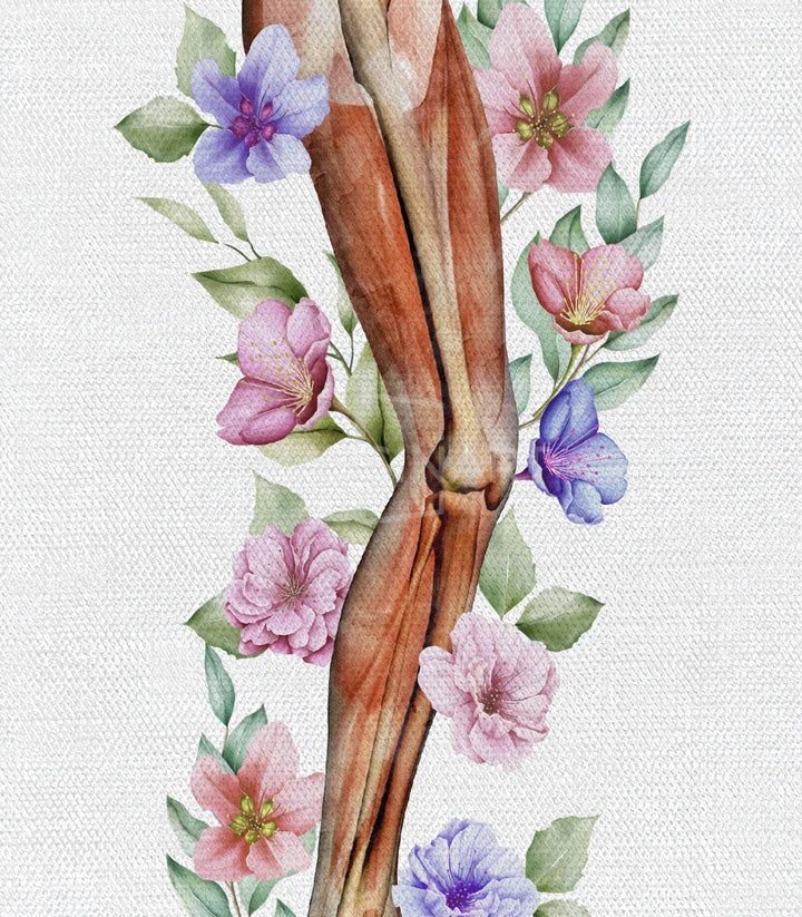 Detalle cuadro anatomía floral Massinart — acuarela premium sobre lienzo