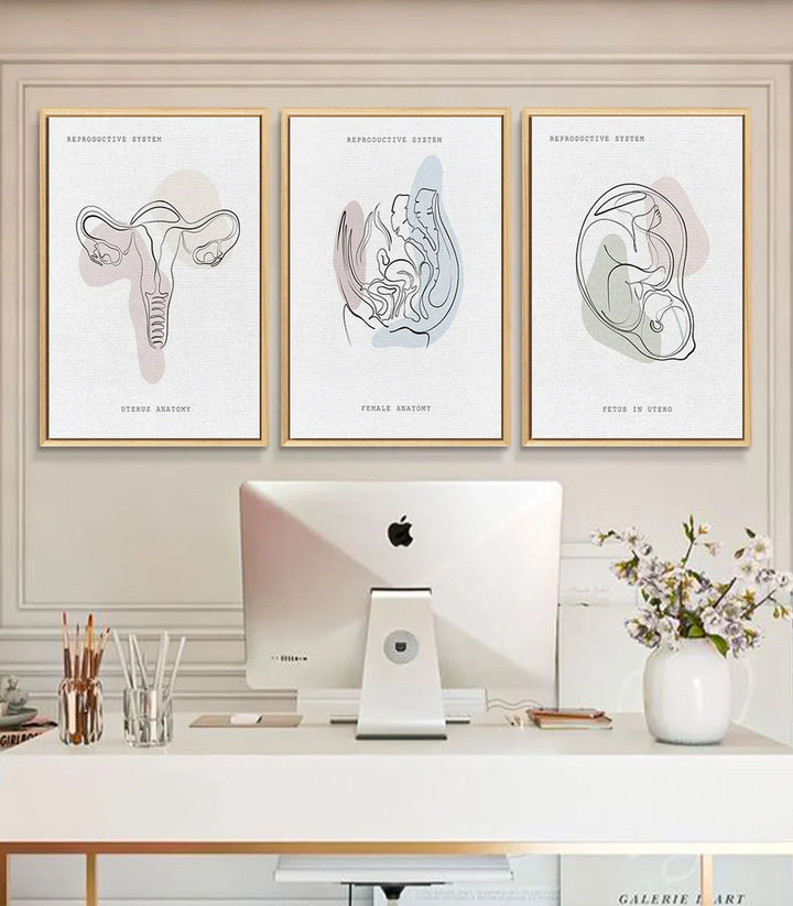 Cuadro Womb Essence — ilustración anatómica feto in utero minimalista Massinart