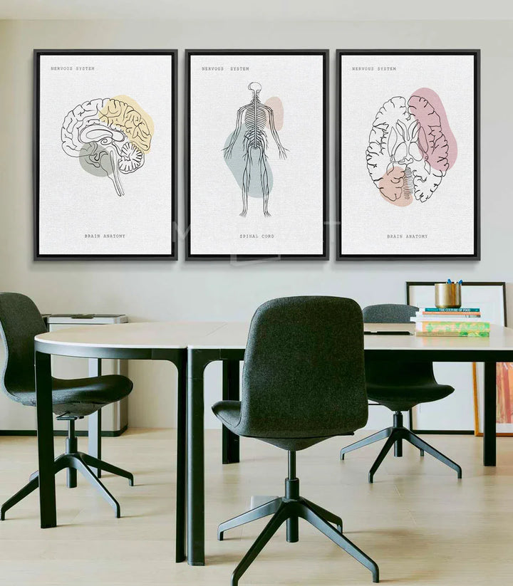Cuadro Neural Network tríptico anatómico Massinart — ilustración lineal cerebro en beige