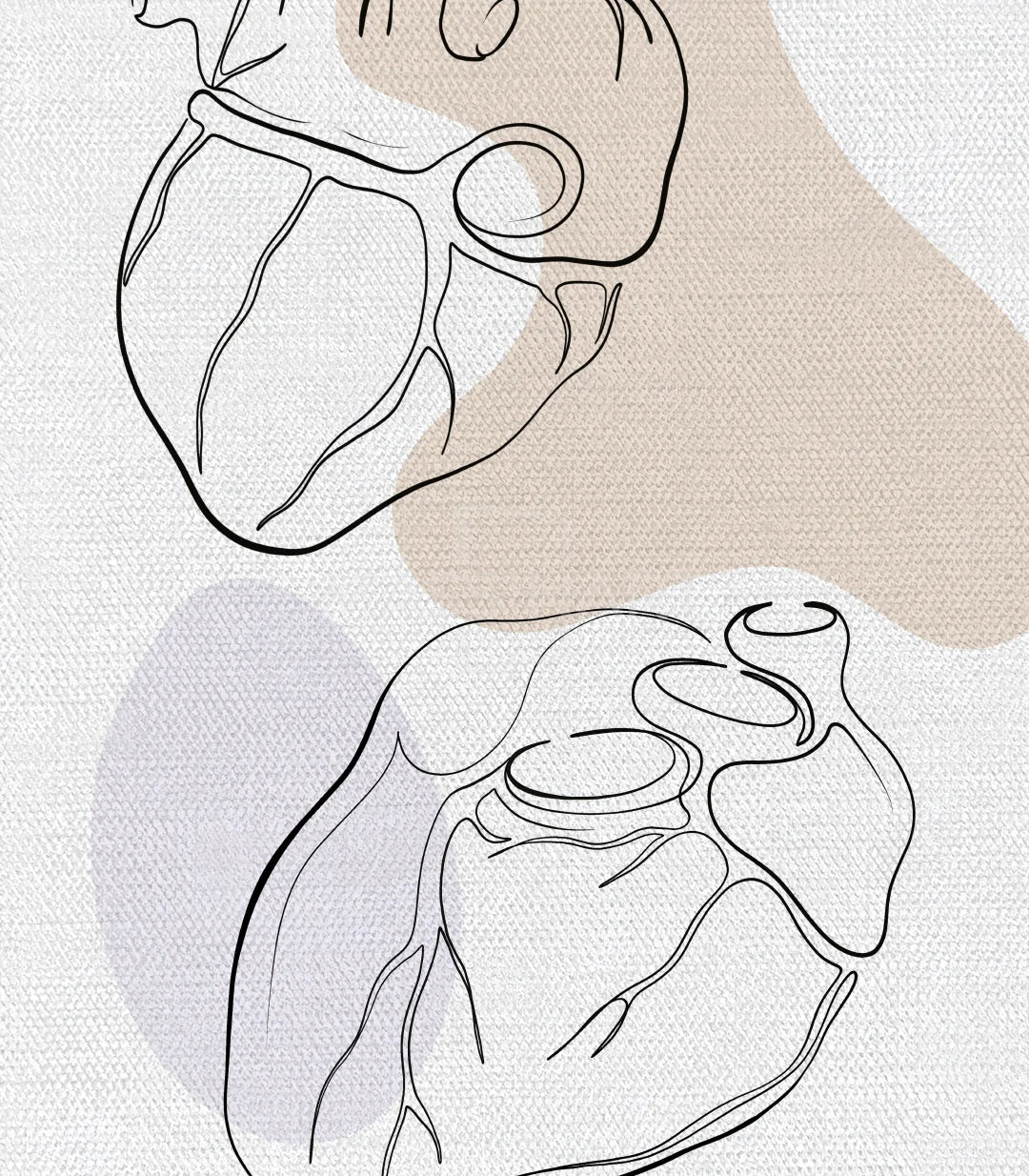 Tríptico Heart Anatomy en salón moderno, decoración de pared minimalista — Massinart