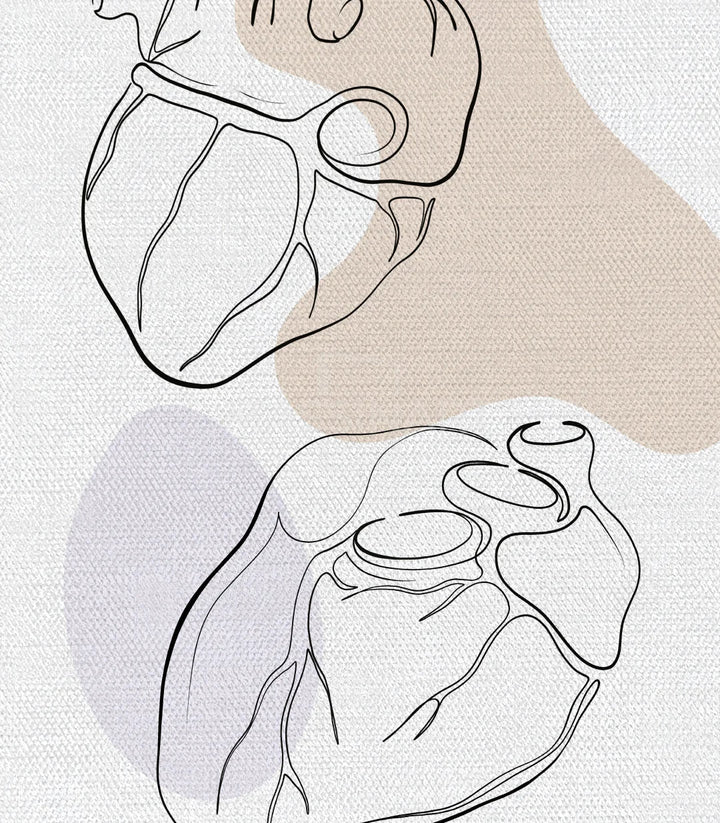 Tríptico Heart Anatomy en salón moderno, decoración de pared minimalista — Massinart