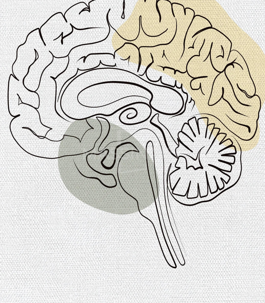 Cuadro Neural Network estilo minimalista Massinart — sistema nervioso acuarela