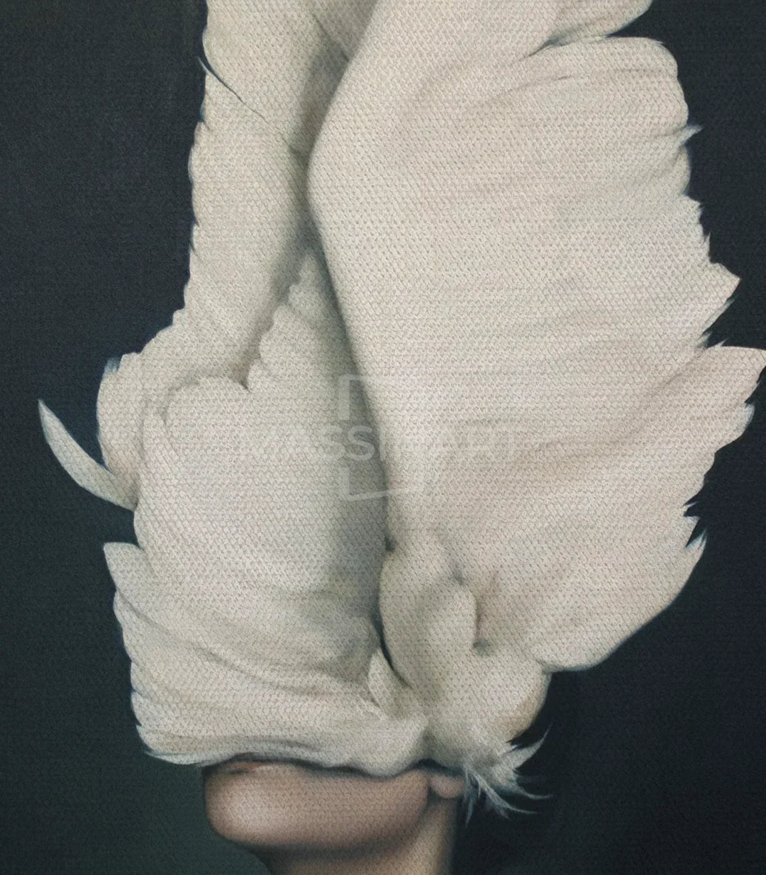 Cuadro Pursuit of Daydreams — detalle de textura del lienzo canvas, retrato femenino