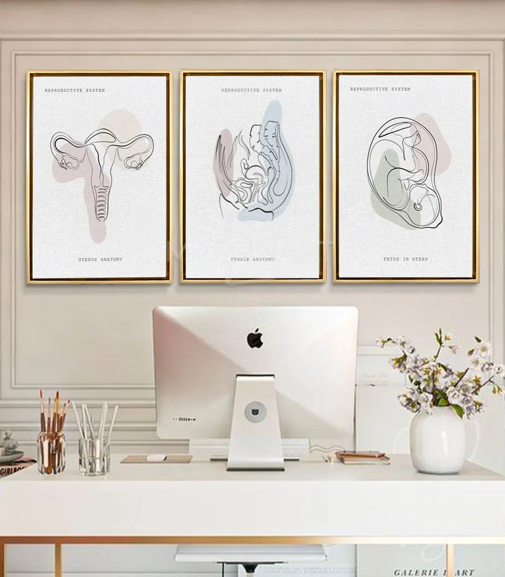 Cuadro Womb Essence — sistema reproductivo femenino línea continua estilo minimalista Massinart
